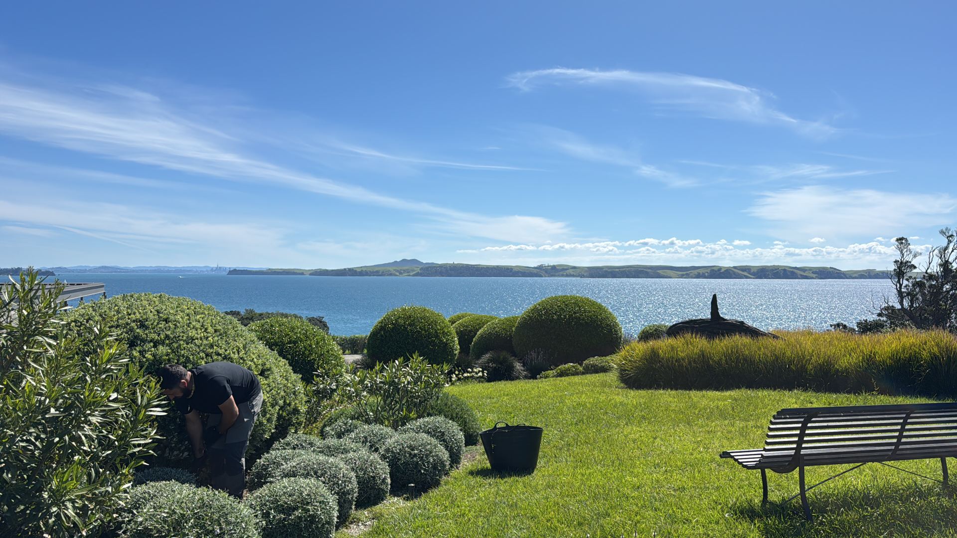 Professional garden maintenance on Waiheke Island