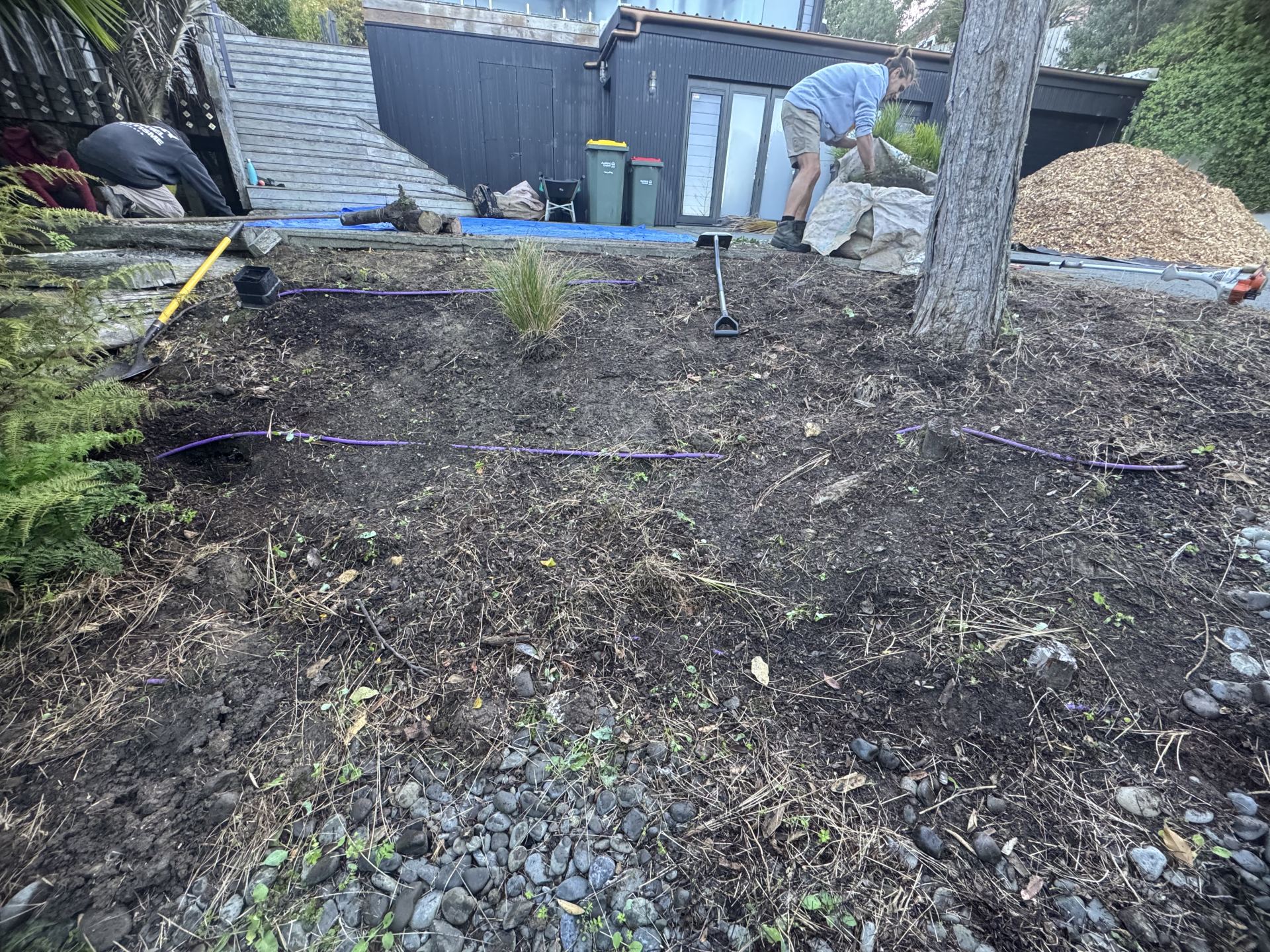 Bare garden before planting on Waiheke Island