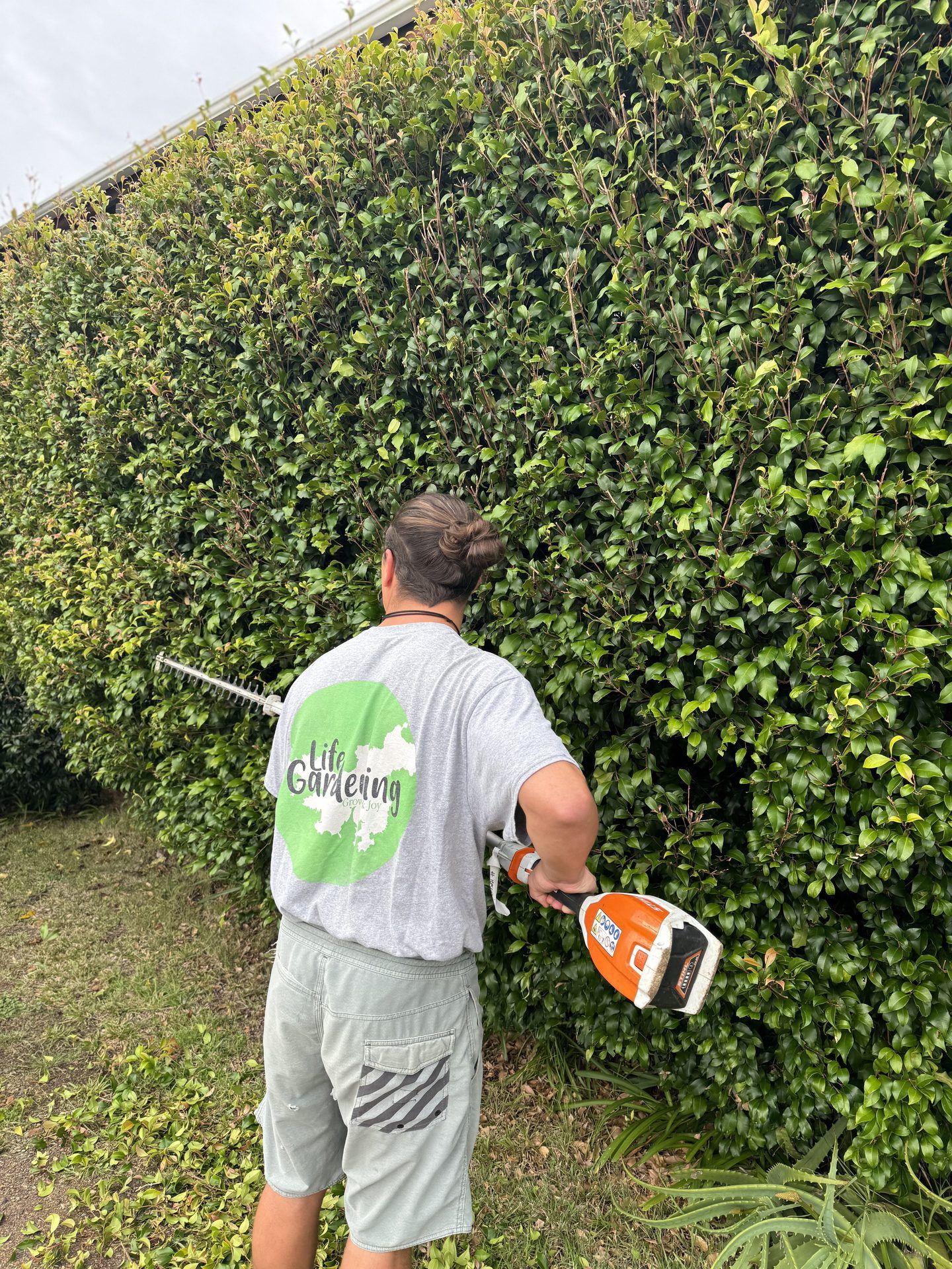 Hedge trimming service for Waiheke Island gardens