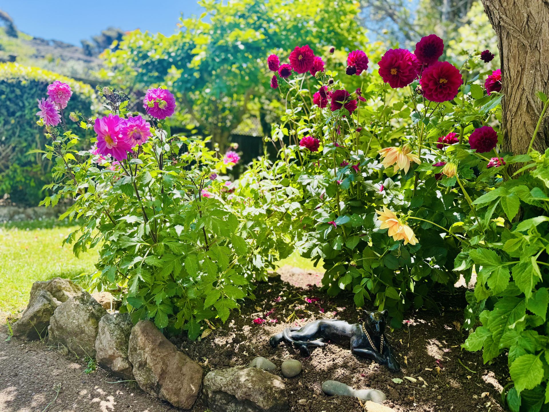 Waiheke garden project completed by Life Gardening team