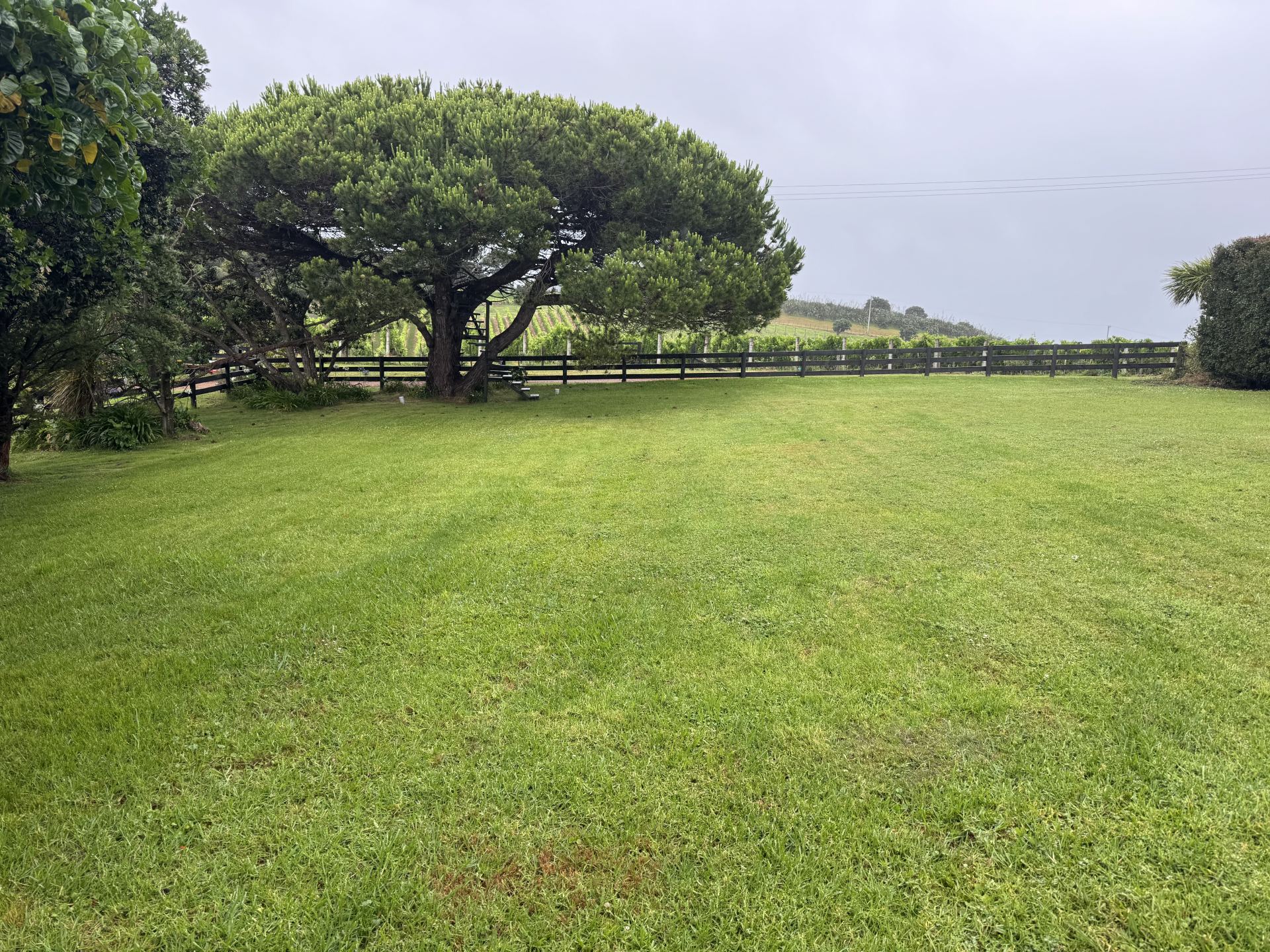 Lawn mowing service on Waiheke Island residential property