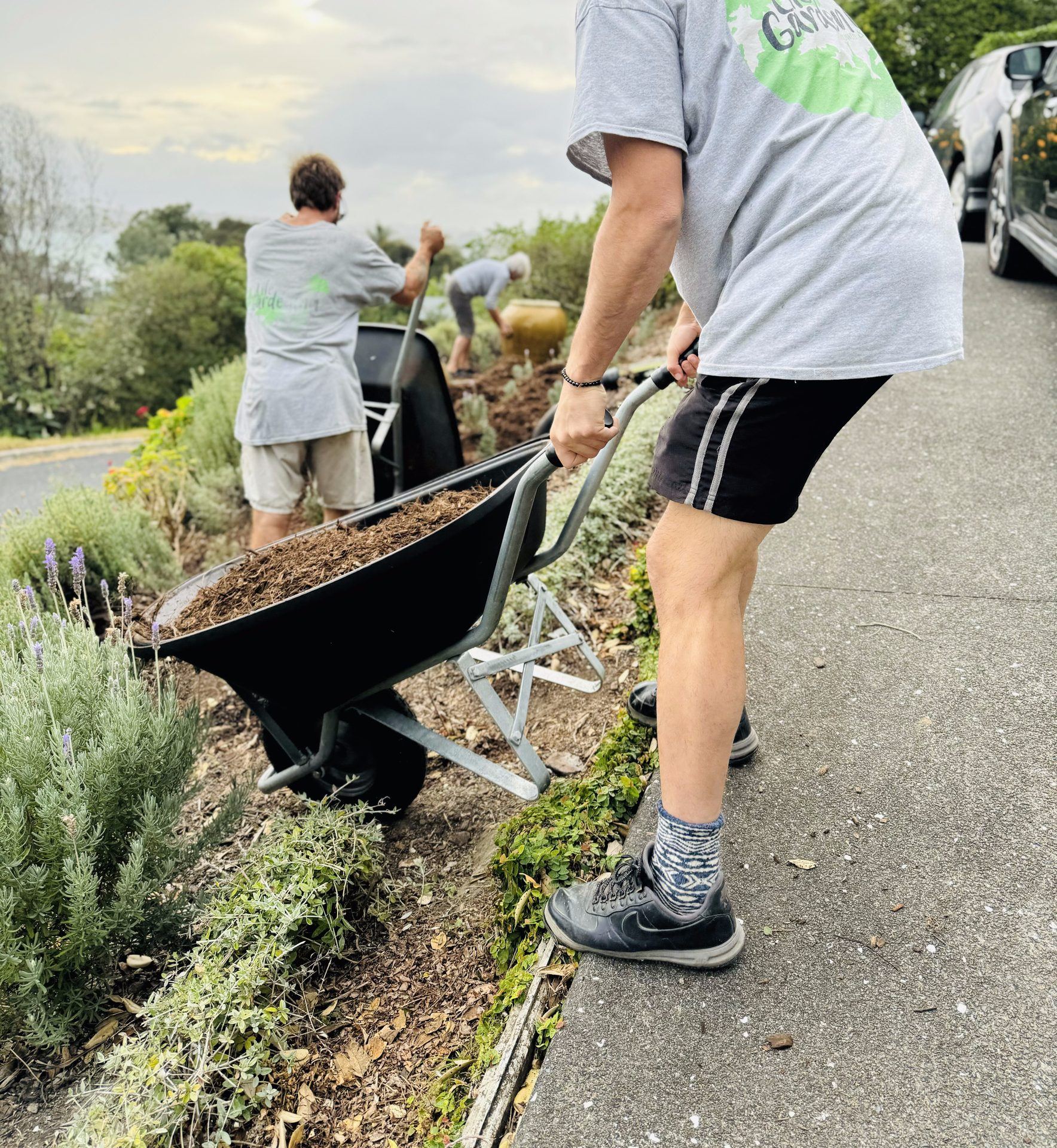 Garden mulching service for Waiheke Island gardens